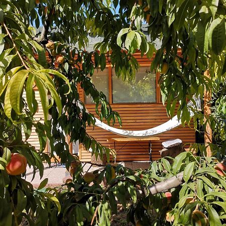 Relax Eaza - Casa Cu Hamac Villa Constanţa Eksteriør billede