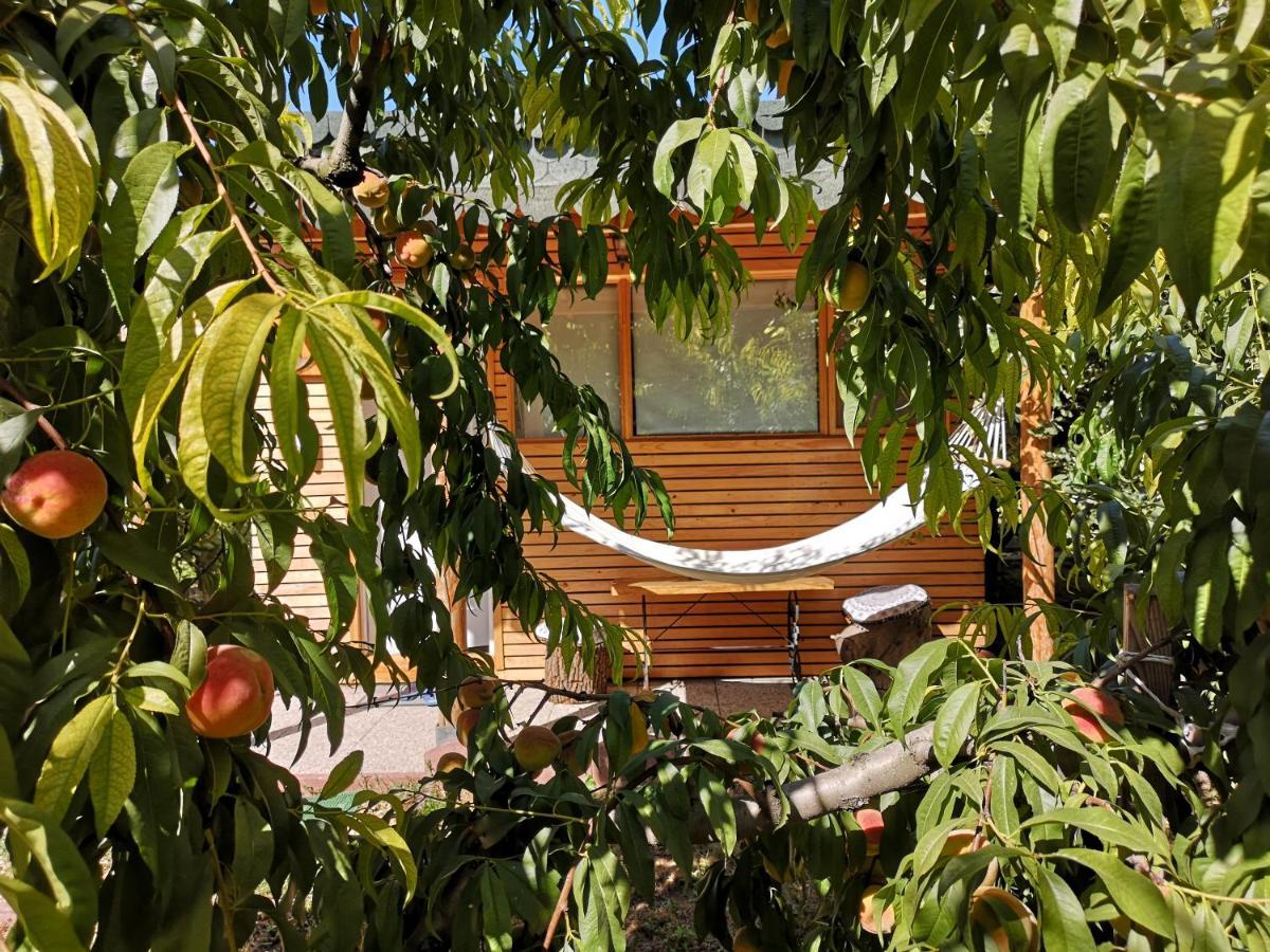 Relax Eaza - Casa Cu Hamac Villa Constanţa Eksteriør billede