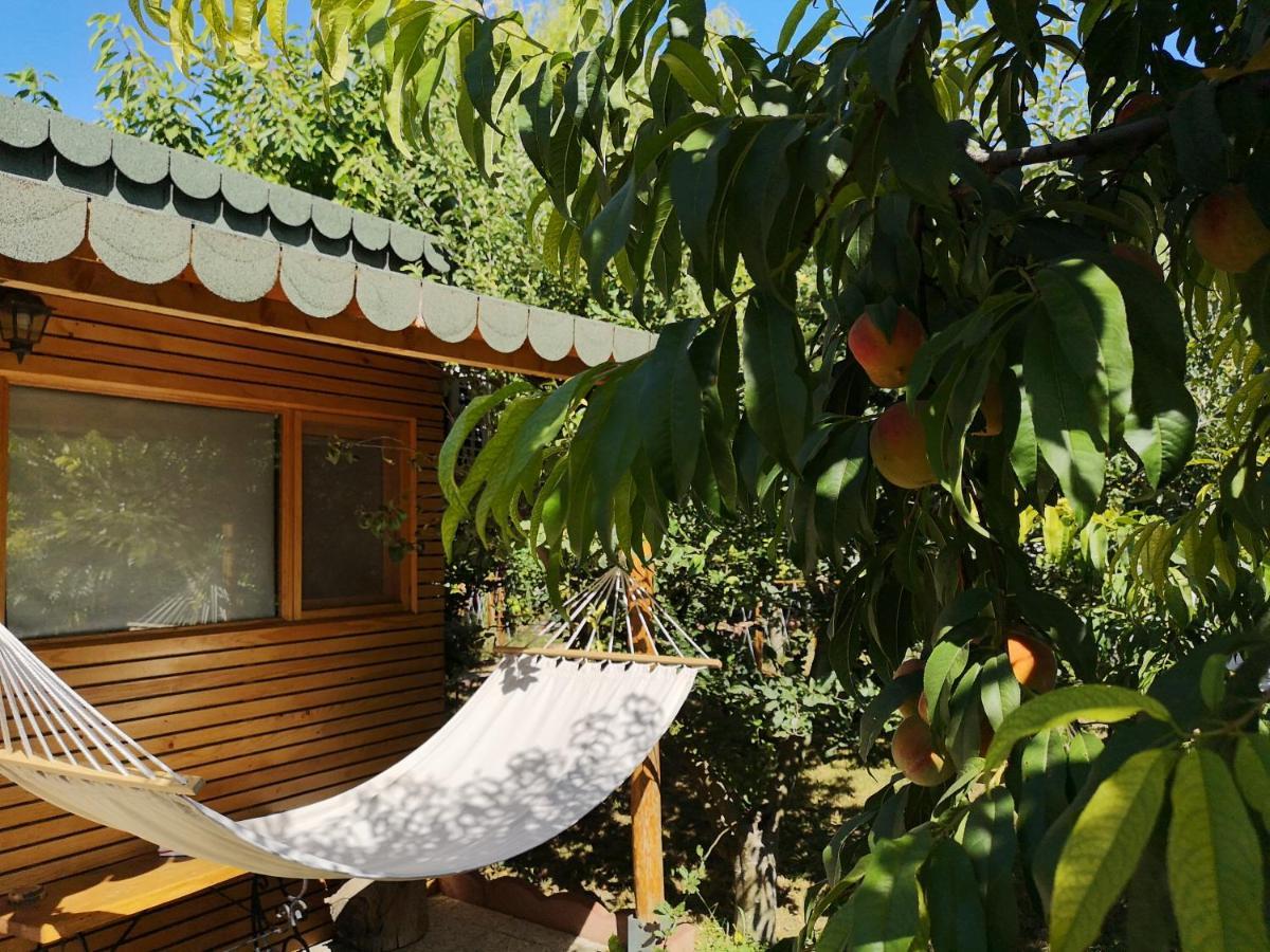 Relax Eaza - Casa Cu Hamac Villa Constanţa Eksteriør billede